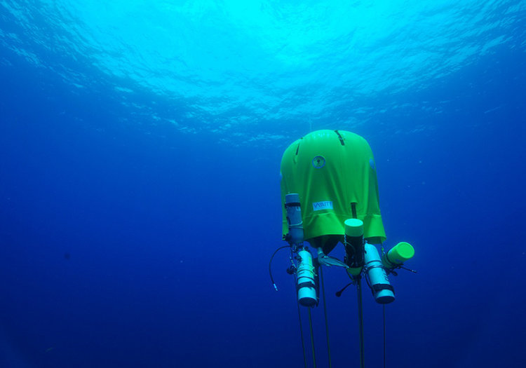 Underwater tent being used in the ocean