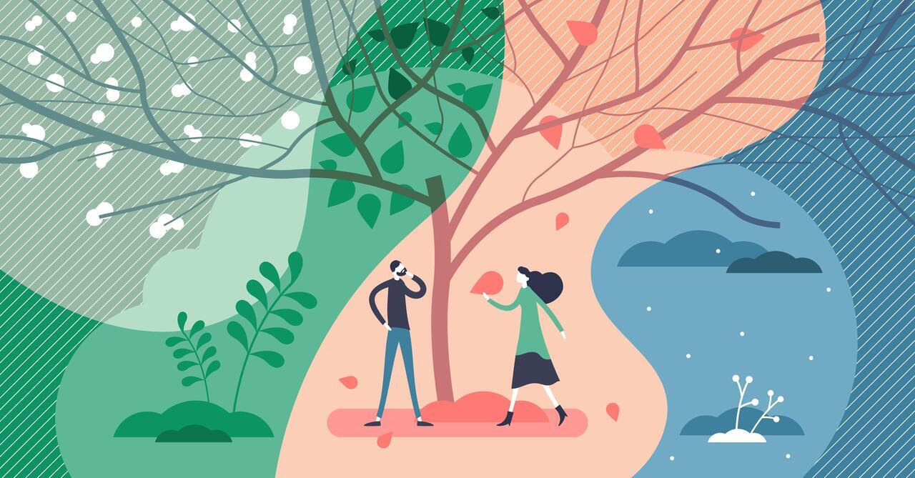 Research Collider Series