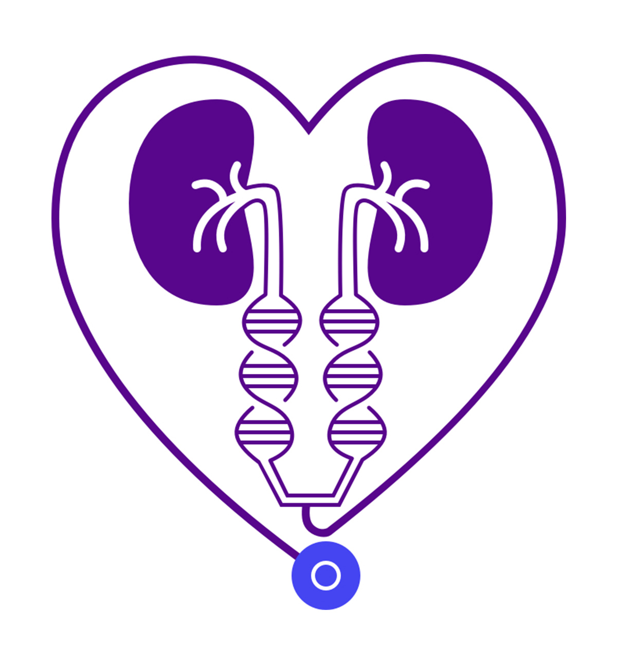 Kidney-heart graphic