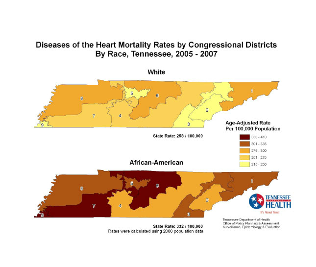 Infographic showing health disparity in Tennessee