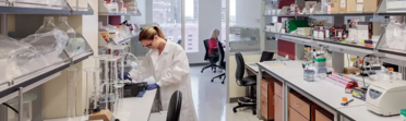Image of student working in the laboratory