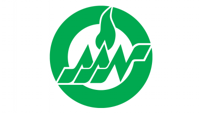 American Academy of Nursing logo