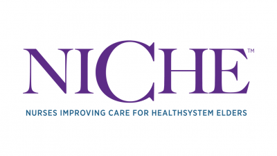 NICHE logo