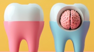 Teeth and brain 